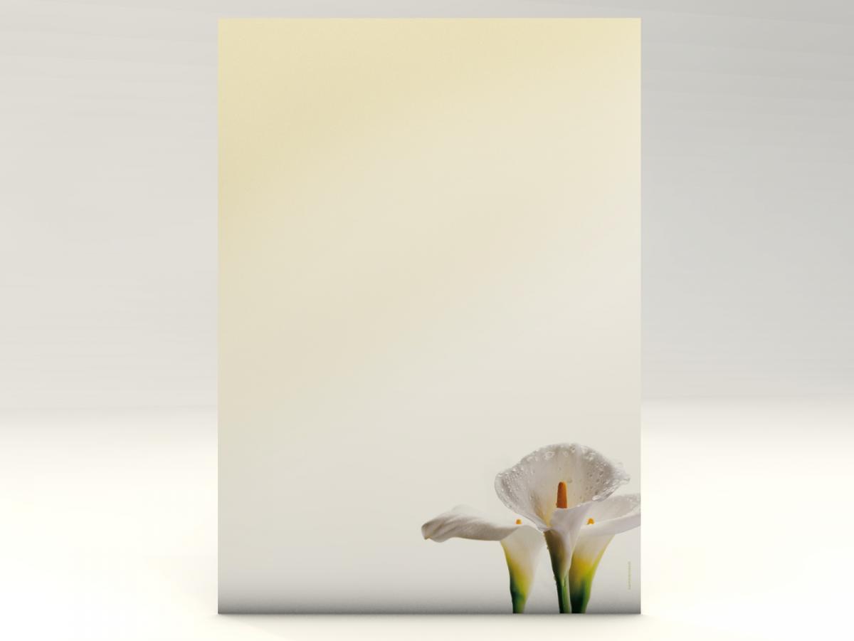 Stationery Calla Lillies Writing paper