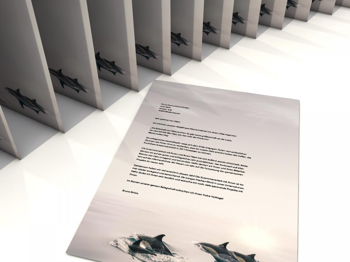 Stationery Dolphins Writing paper