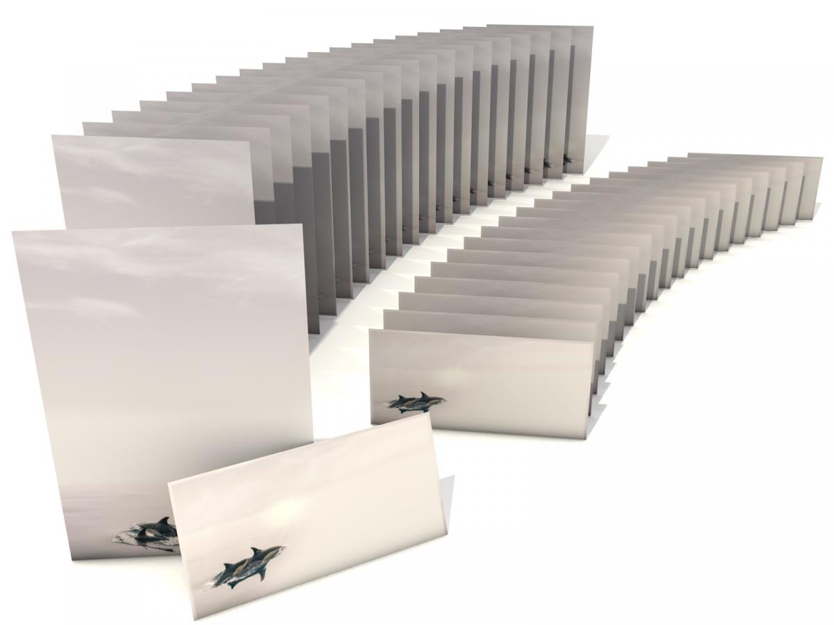 Stationery Dolphins Writing paper