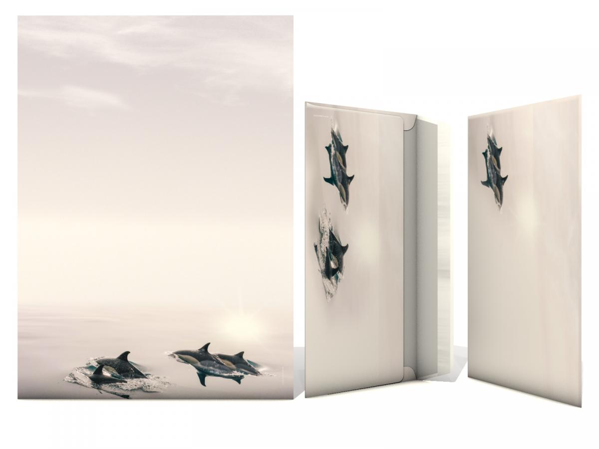 Stationery Dolphins Writing paper