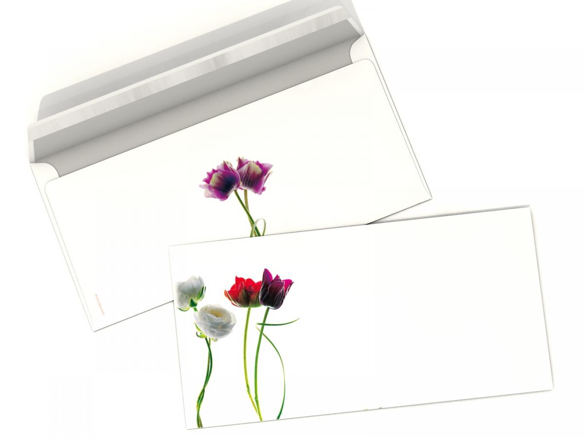 printed envelope eeee