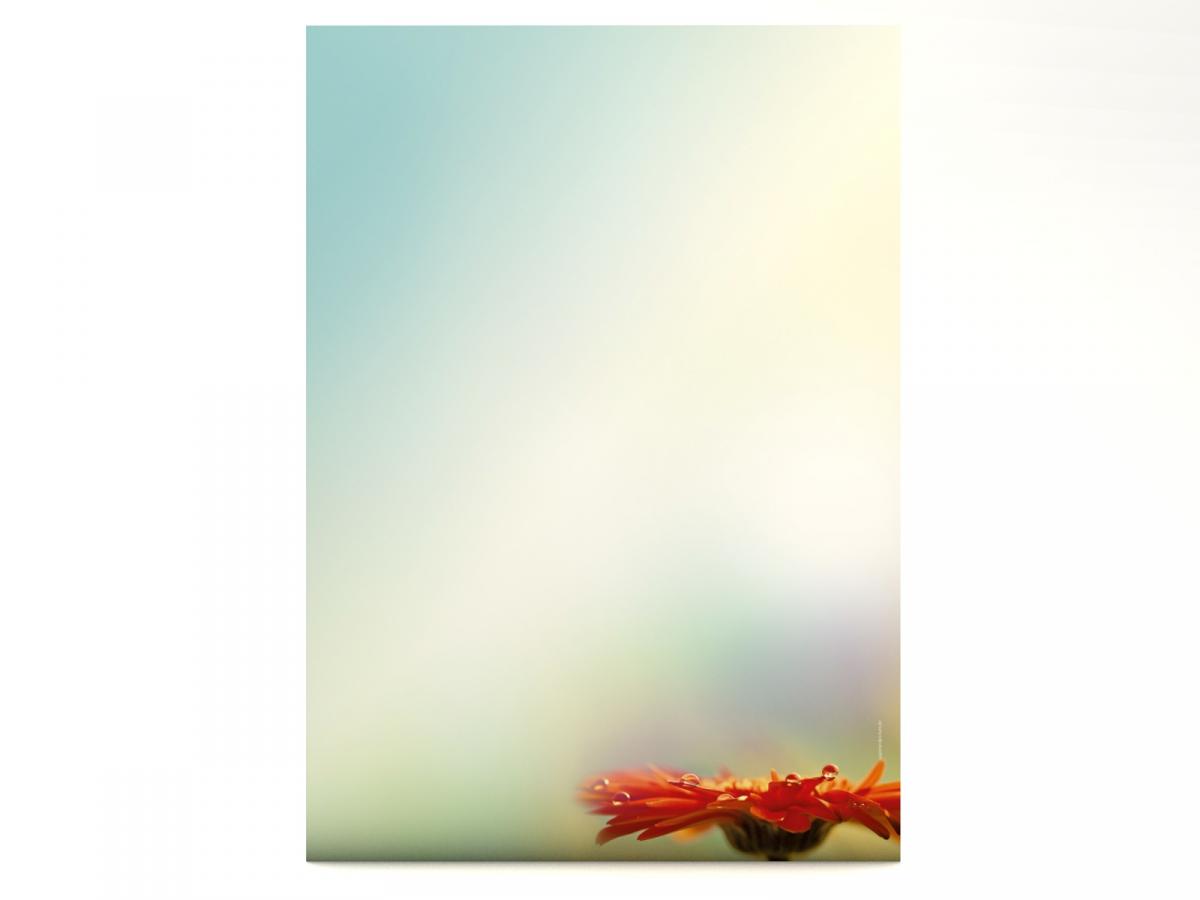 Motivpapier After the Rain Briefpapier mit Motiv