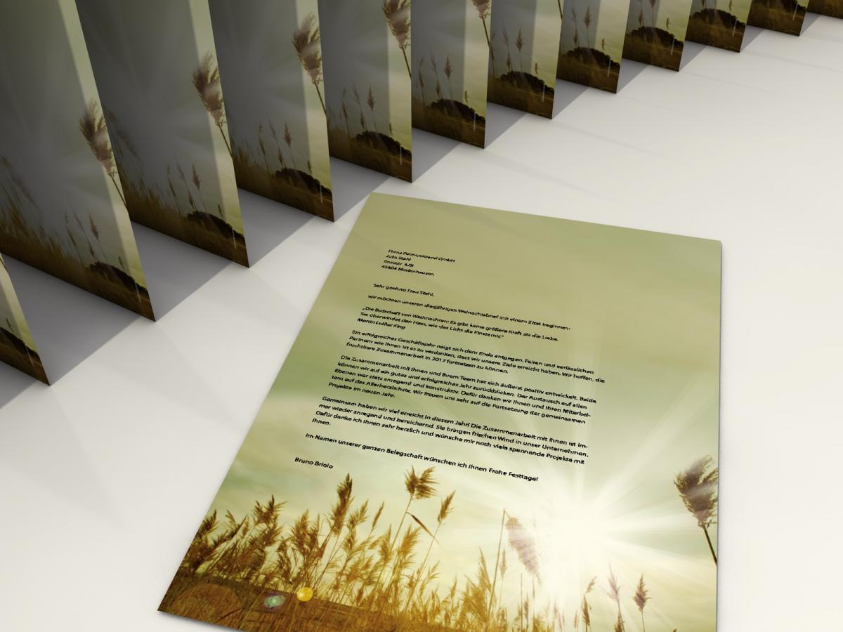 Stationery Autumn Grases Writing paper