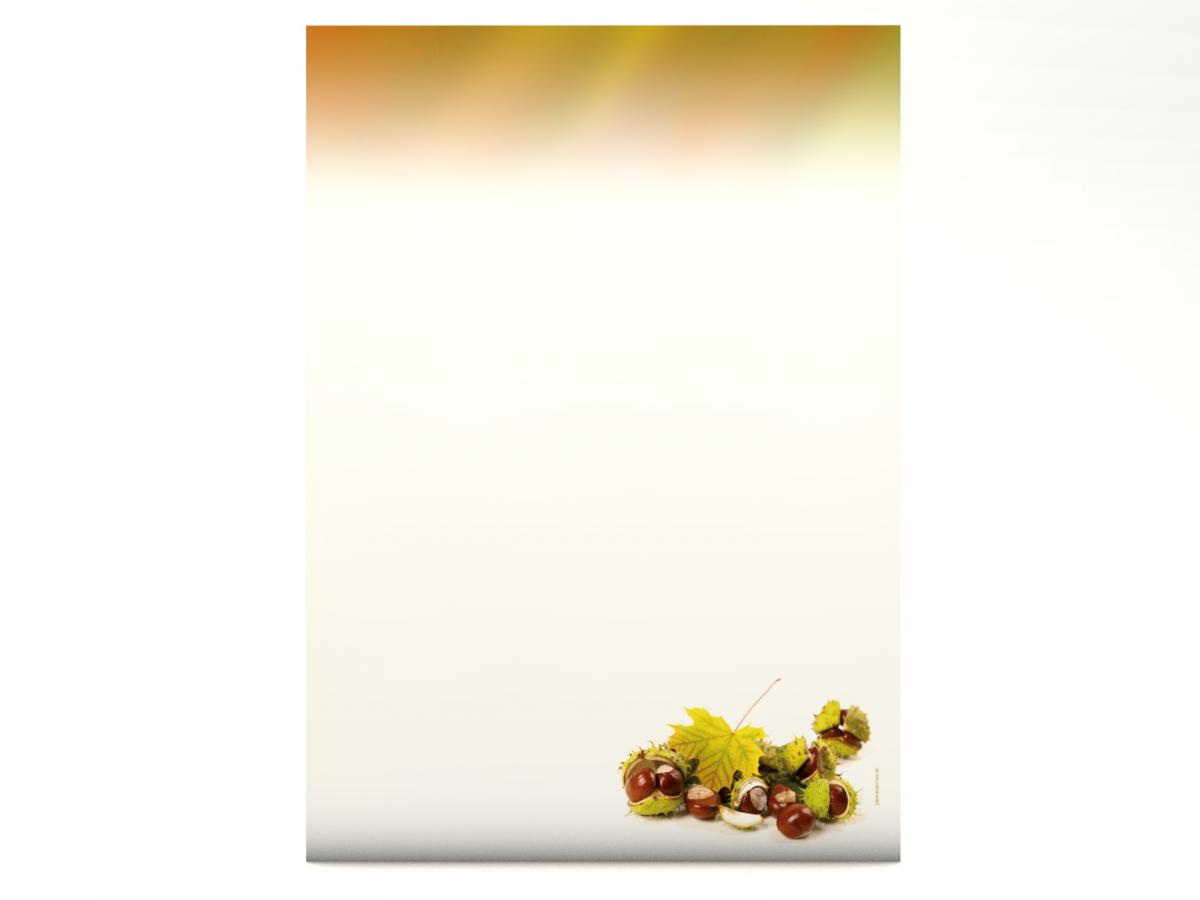 Stationery Chestnuts Writing paper