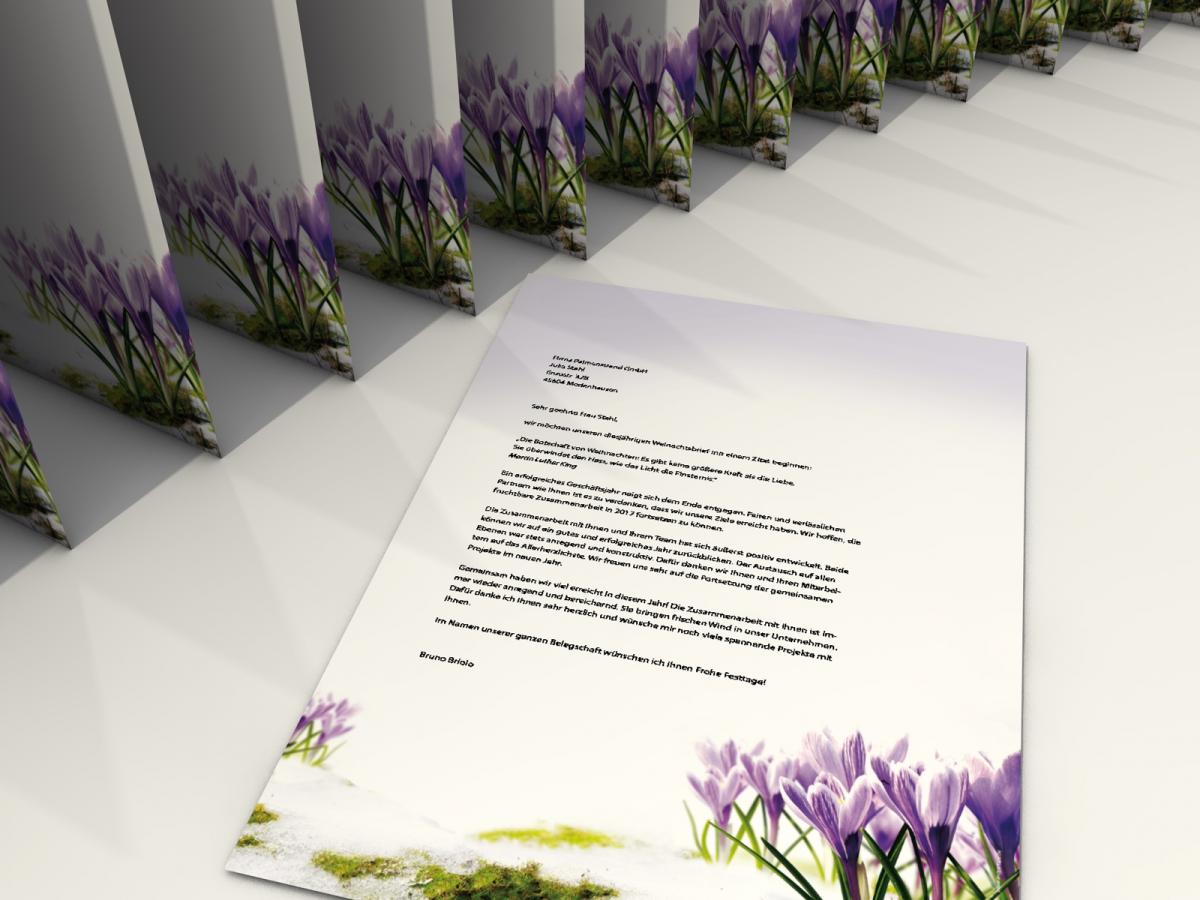 Stationery Crocusses Writing paper