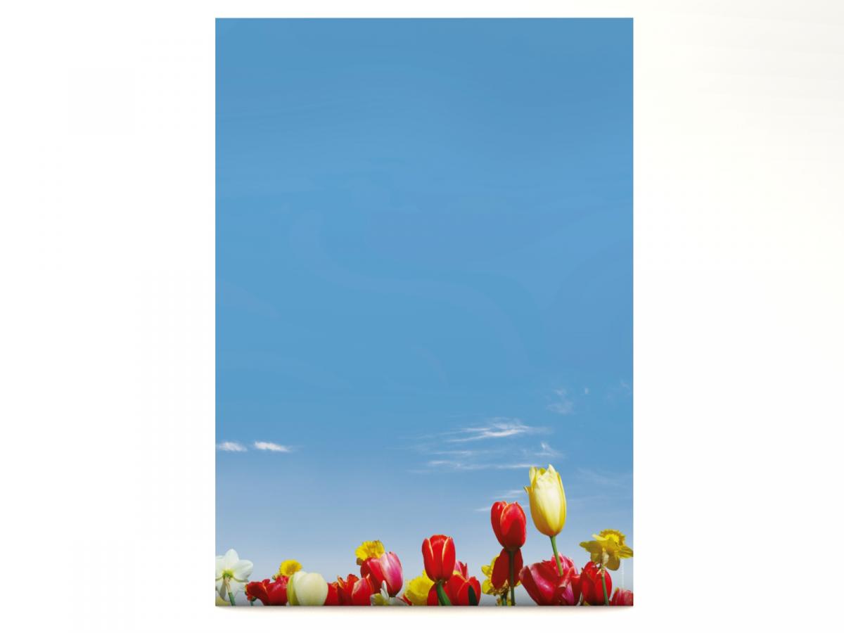 Motivpapier Bunte Blumenwiese Briefpapier mit Motiv