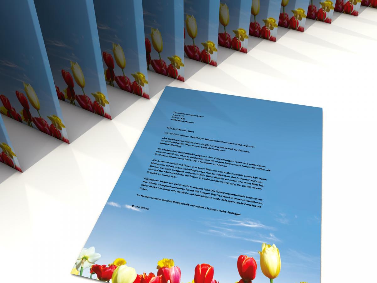 Motivpapier Bunte Blumenwiese Briefpapier mit Motiv