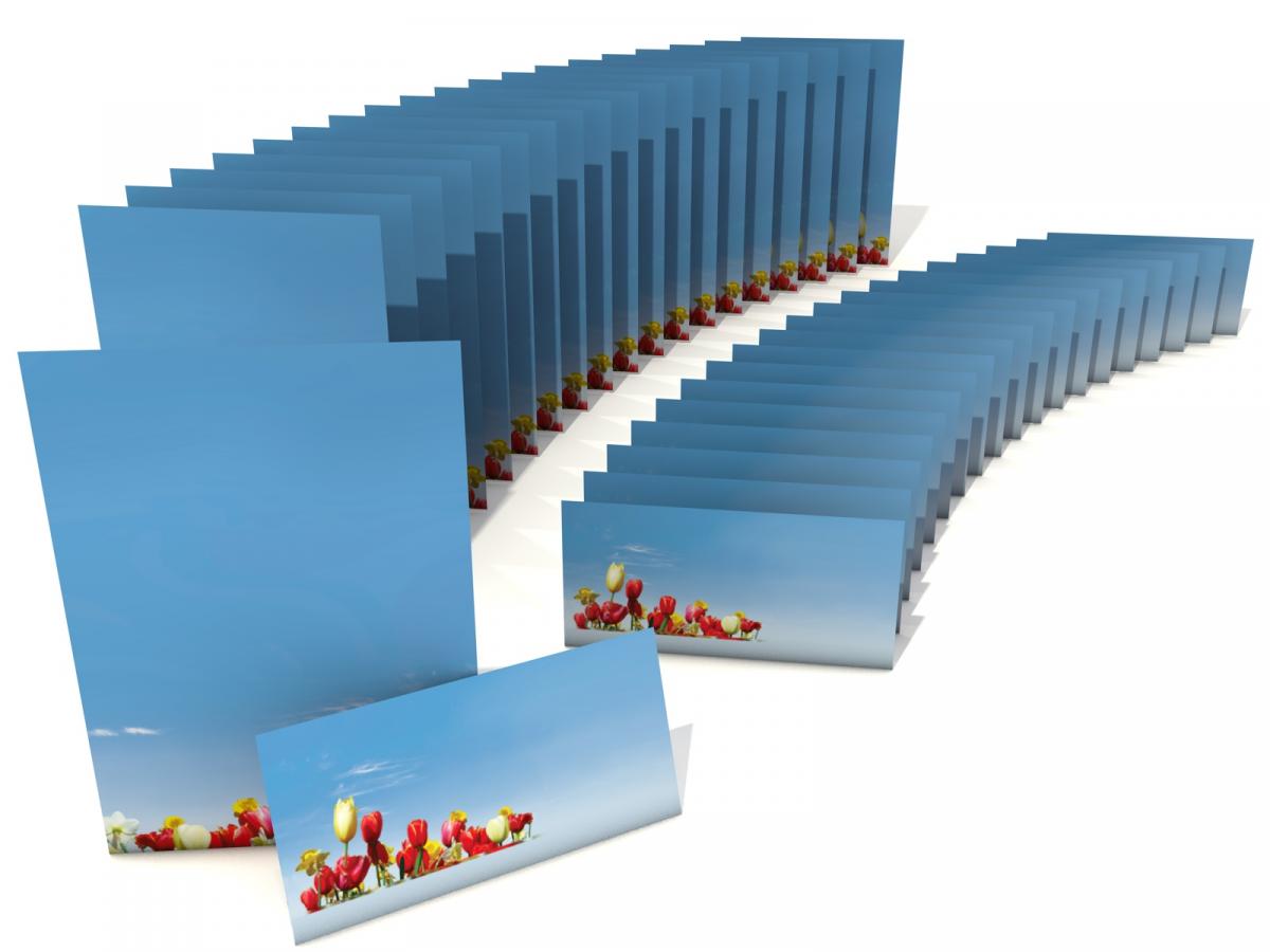 Motivpapier Bunte Blumenwiese Briefpapier mit Motiv