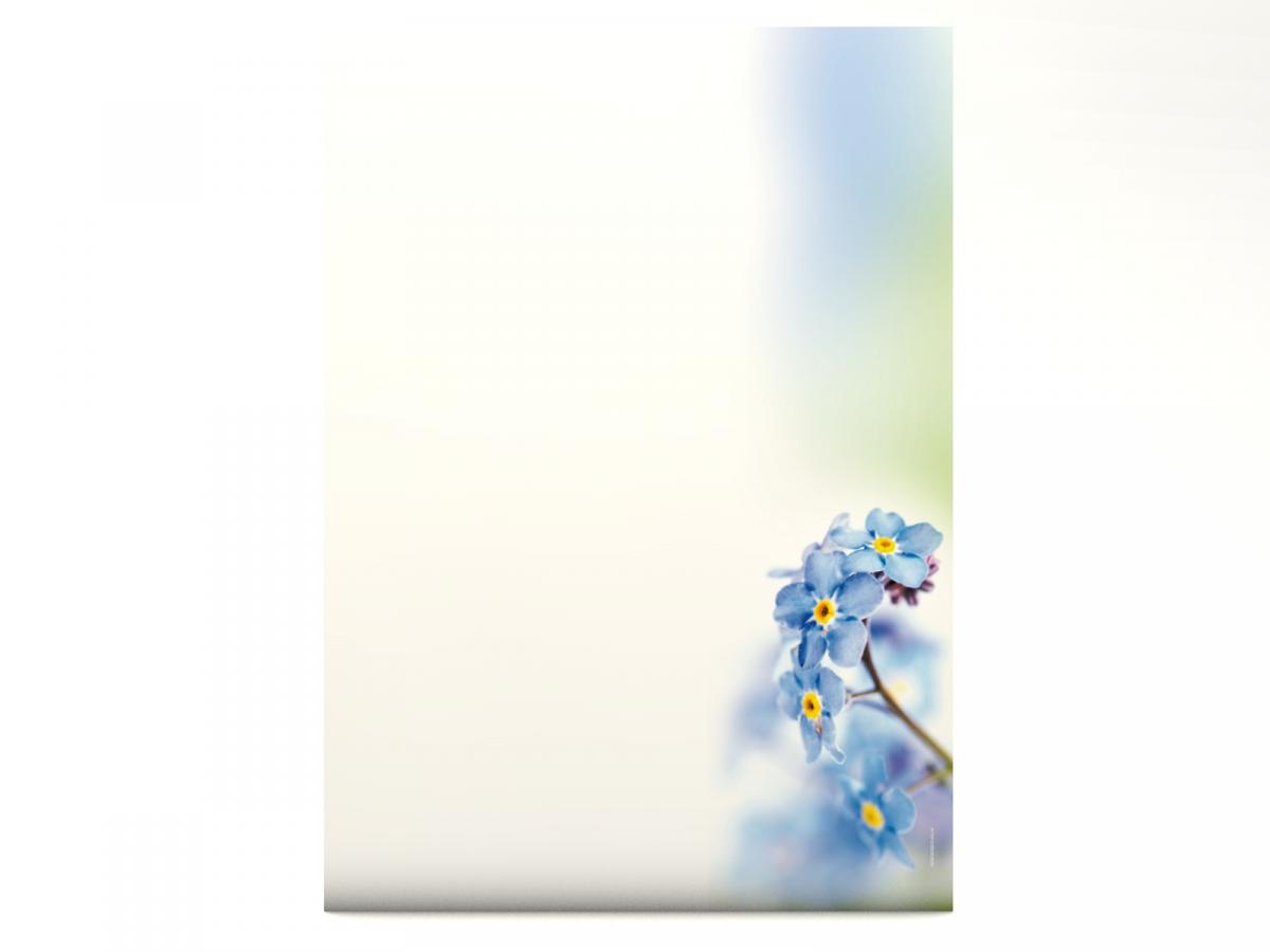 Stationery Forget-me-nots Flowers Writing paper