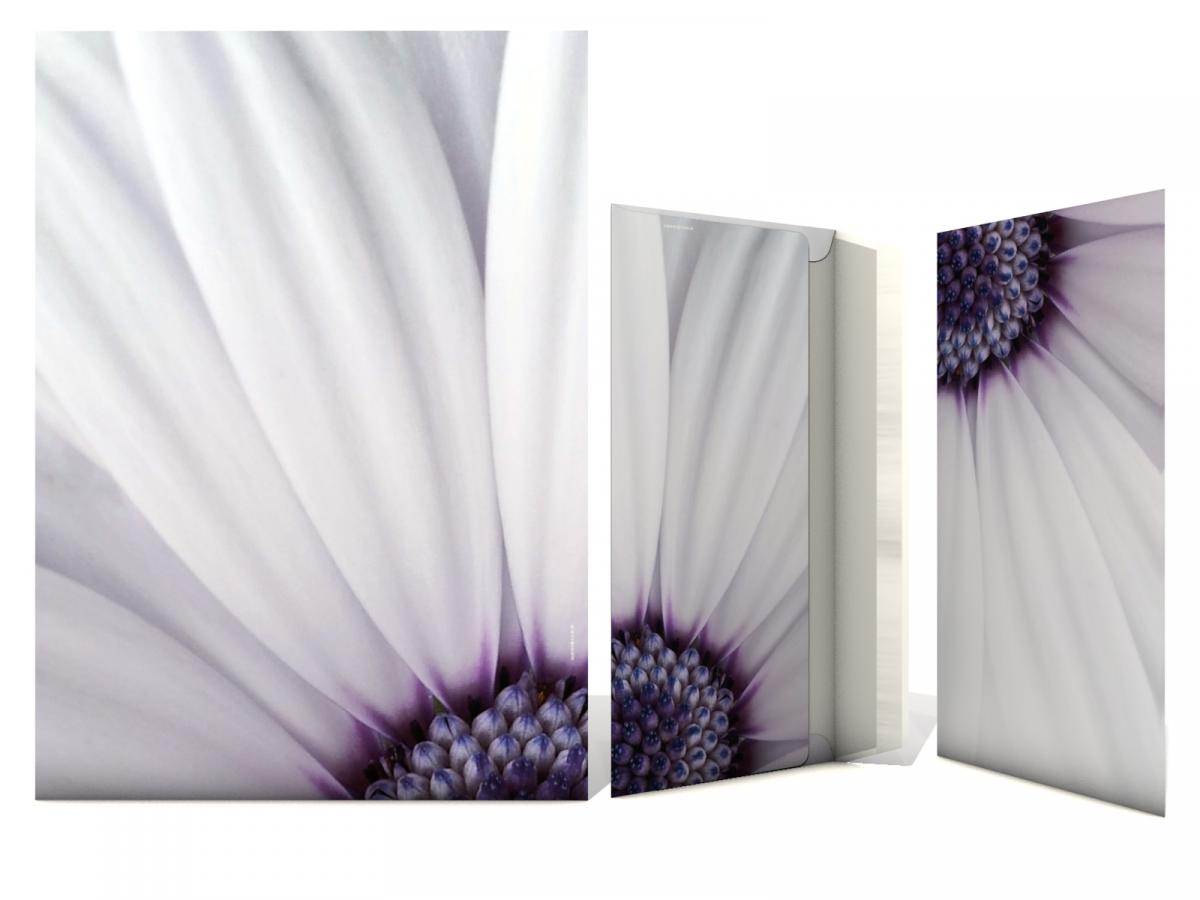 Stationery Violet Flower Writing paper