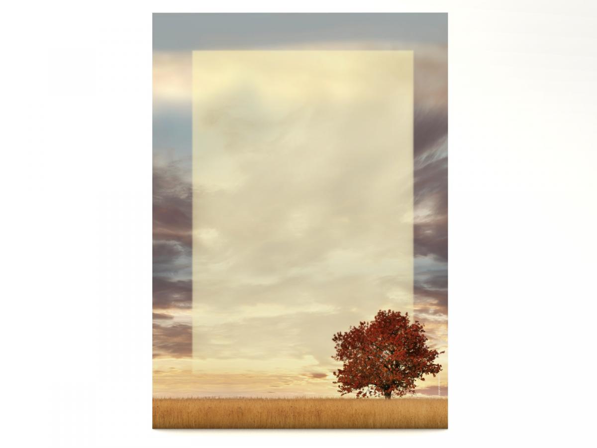 Motivpapier Lonely Tree Briefpapier mit Motiv