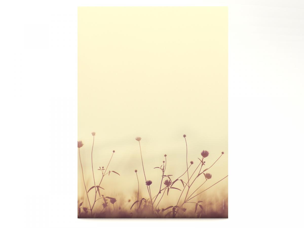 Stationery Autumn Meadow Writing paper