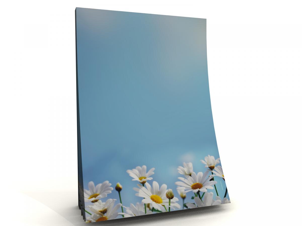 Notepad Daisies