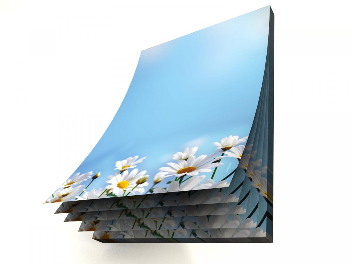 Notepad Daisies