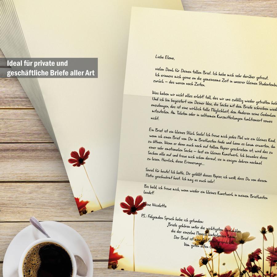 Clover Letter Paper & Envelopes – A4 Cloverleaf Motif with Ladybird - Kopie