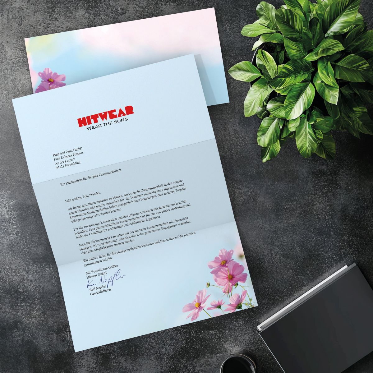 Passender DIN-LANG-Briefumschlag zum Motiv Cosmea Blumen