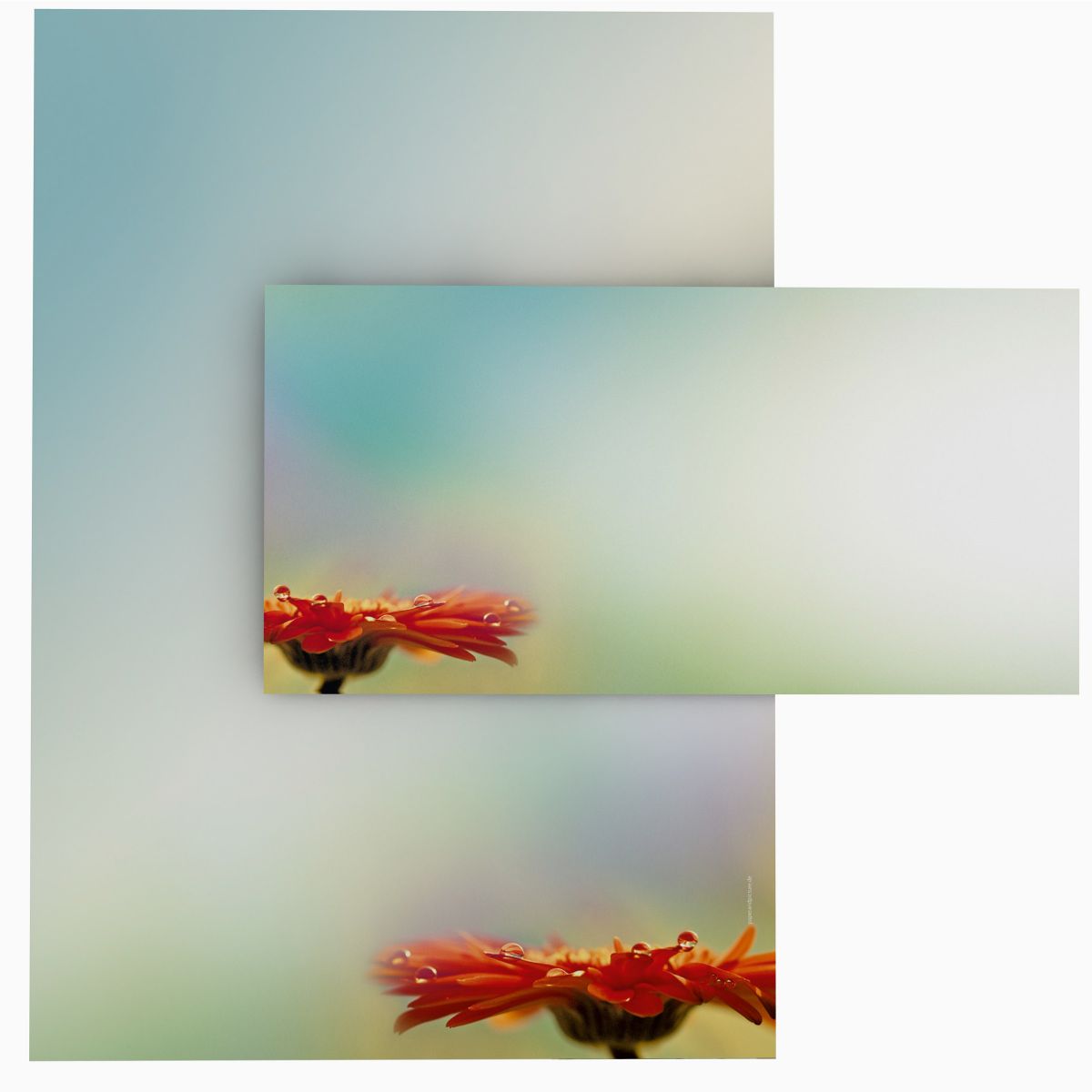 Motivpapier After the Rain DIN A4 – Briefpapier mit Kuverts