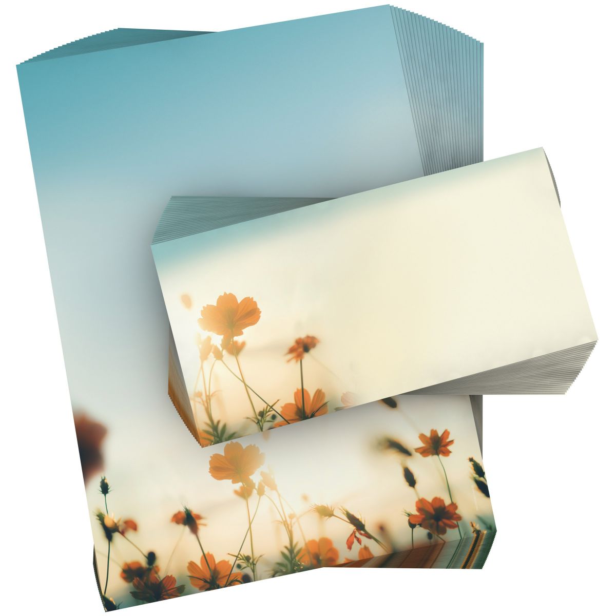 Motivpapier Herbstsonne DIN A4 – Feine Gräser und Blüten im warmen Gegenlicht schaffen eine ruhige, goldene Spätsommerstimmung