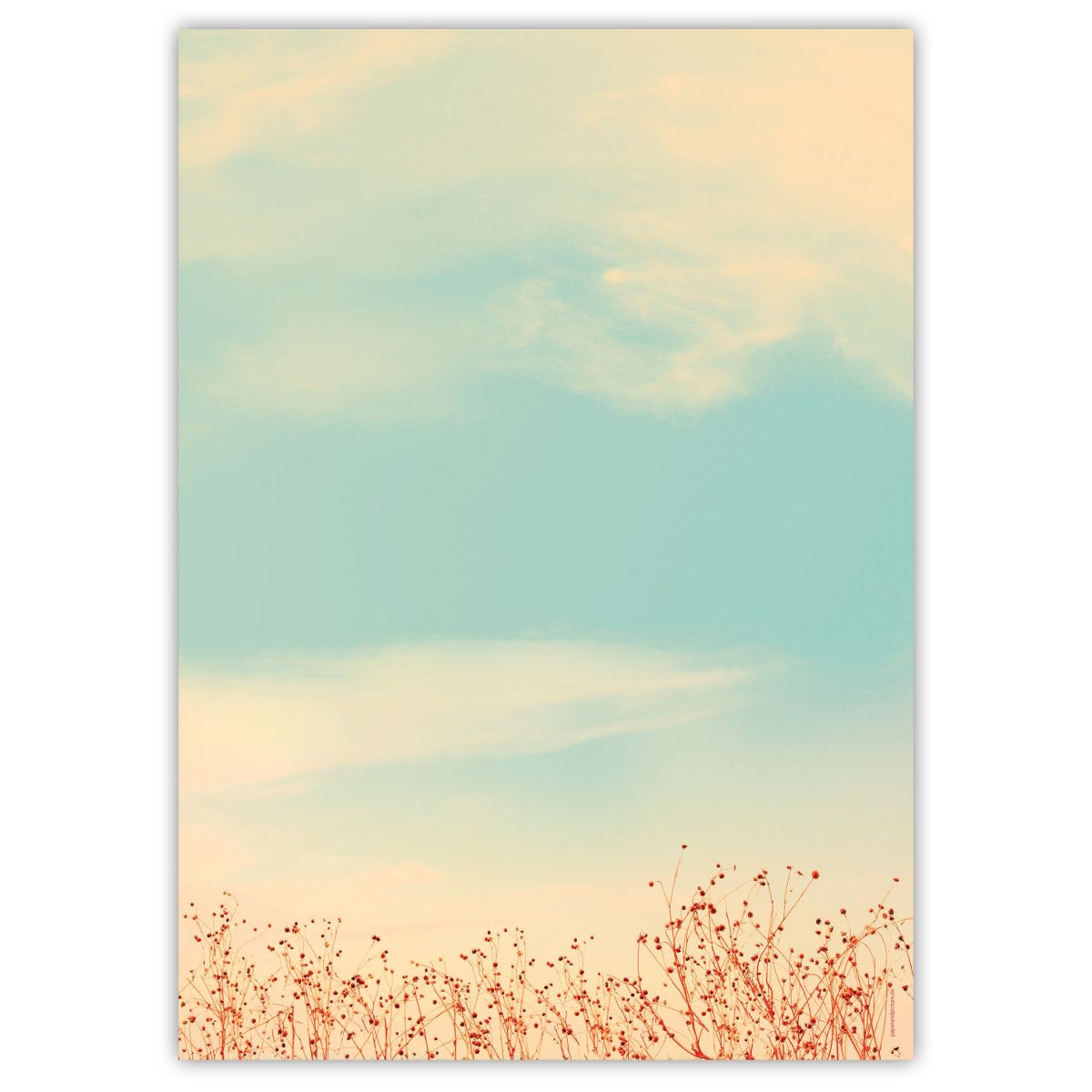 Summer Sky A4 decorative writing paper
