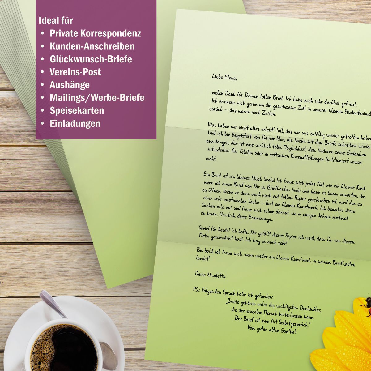 Motivpapier Glückskäfer DIN A4 – Briefpapier mit Kuverts mit/ohne Fenster