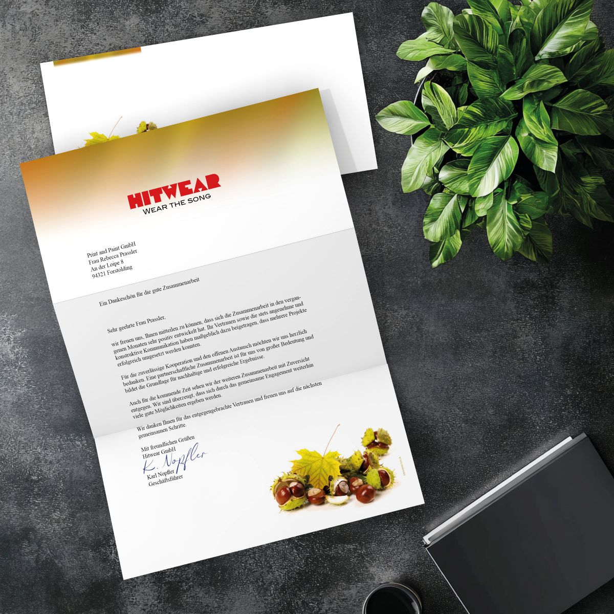 Passender DIN-LANG-Briefumschlag zum Motiv Kastanien