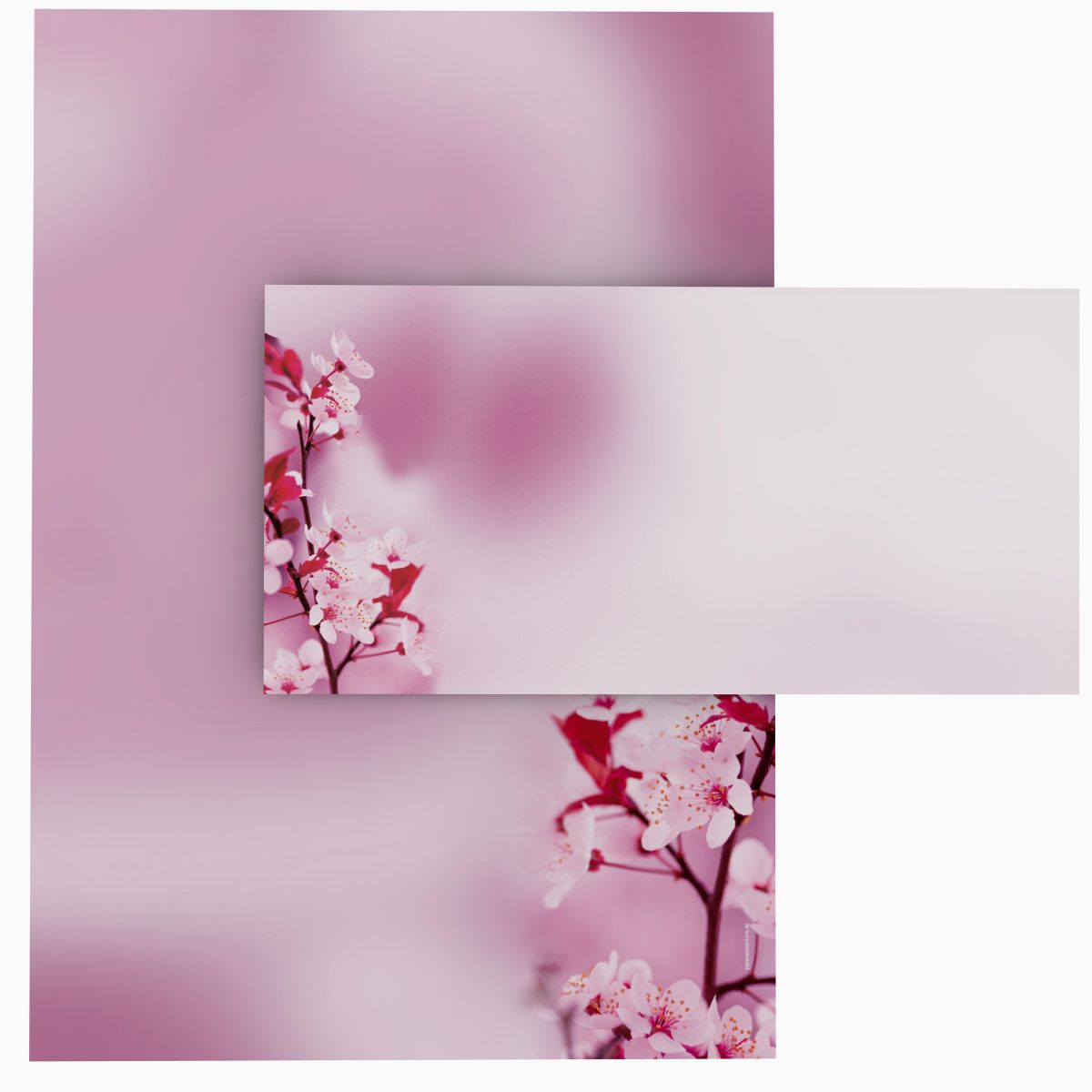 Cherry Blossoms A4 Writing Paper – Stationery with window/non-window envelopes