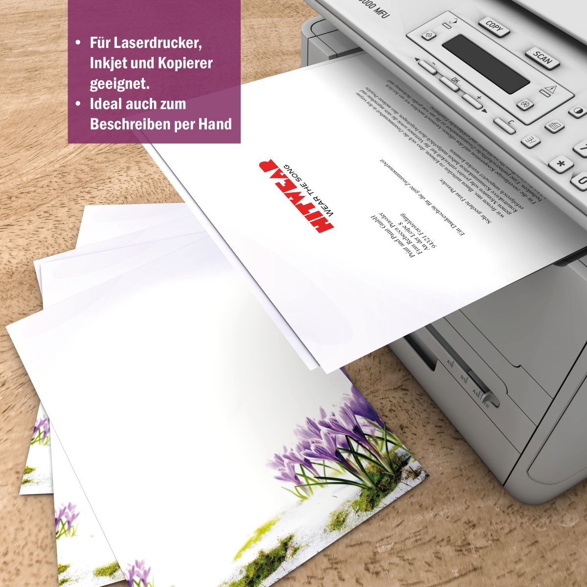 Motivpapier Krokusse DIN A4 – Briefpapier mit Kuverts
