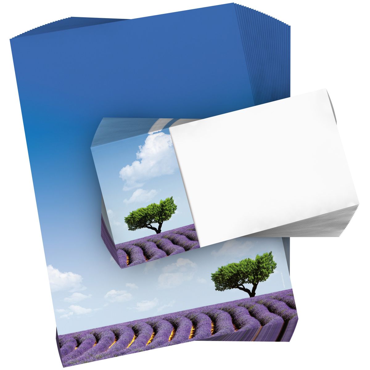 Motivpapier Lavendel DIN A4 – Lavendelfeld, blauer Himmel und einzelner Baum vermitteln Ruhe, Sommer und mediterrane Leichtigkeit