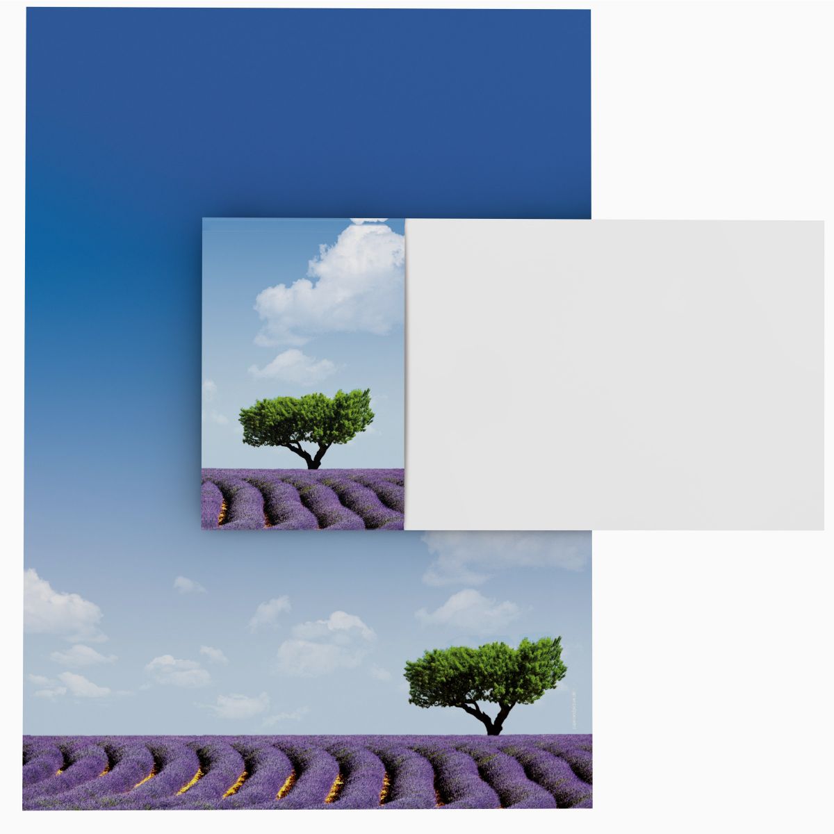 Motivpapier Lavendel DIN A4 – Briefpapier mit Kuverts