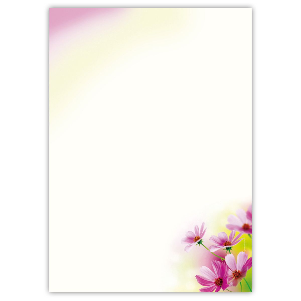 Motivpapier Sommerblumen DIN A4 – Leichte Sommerblüten am unteren Rand lassen viel freie Fläche und wirken freundlich und unbeschwert