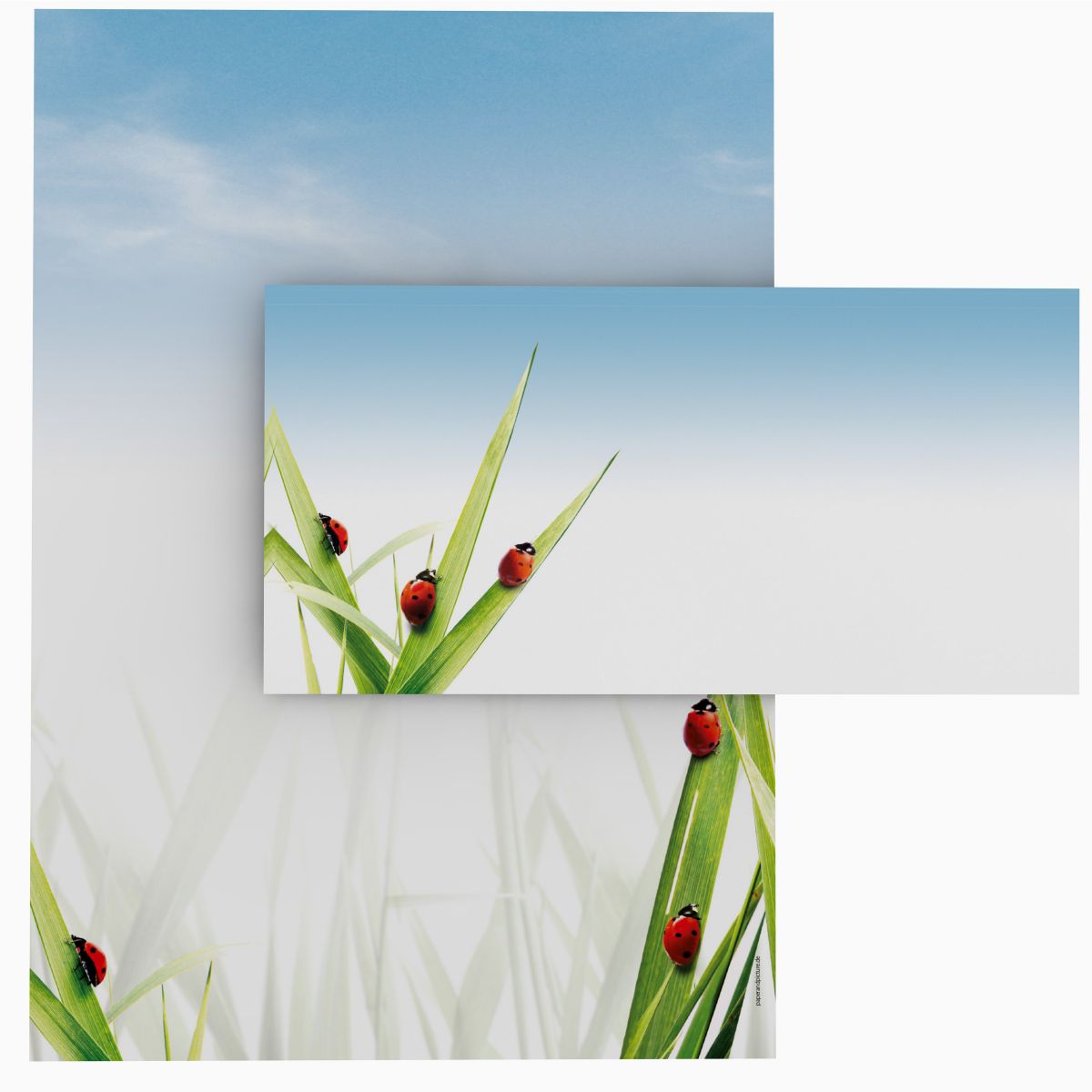 Motivpapier Marienkäfer im Gras DIN A4 – Briefpapier mit Kuverts mit/ohne Fenster