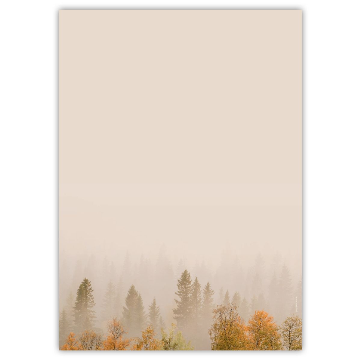 Misty Forest A4 decorative writing paper