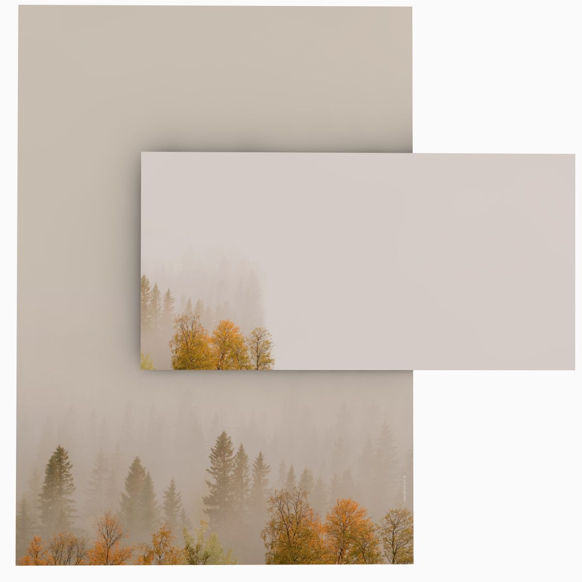 Misty Forest A4 Writing Paper – Stationery with envelopes