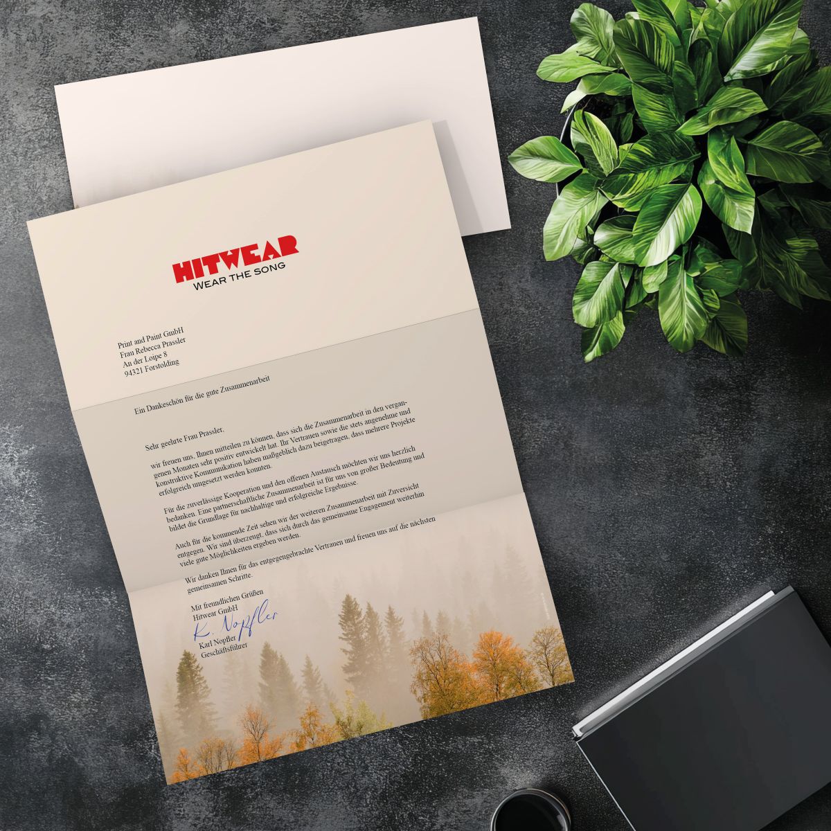 Matching DL envelope for the Misty Forest design