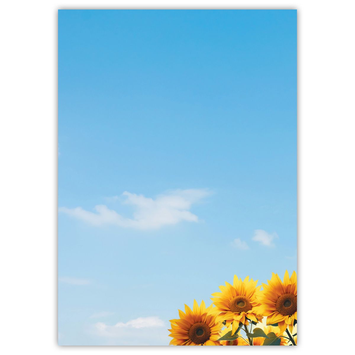 Motivpapier Sonnenblumen DIN A4 – Sonnenblumen unter blauem Himmel wirken sonnig, freundlich und sofort sympathisch