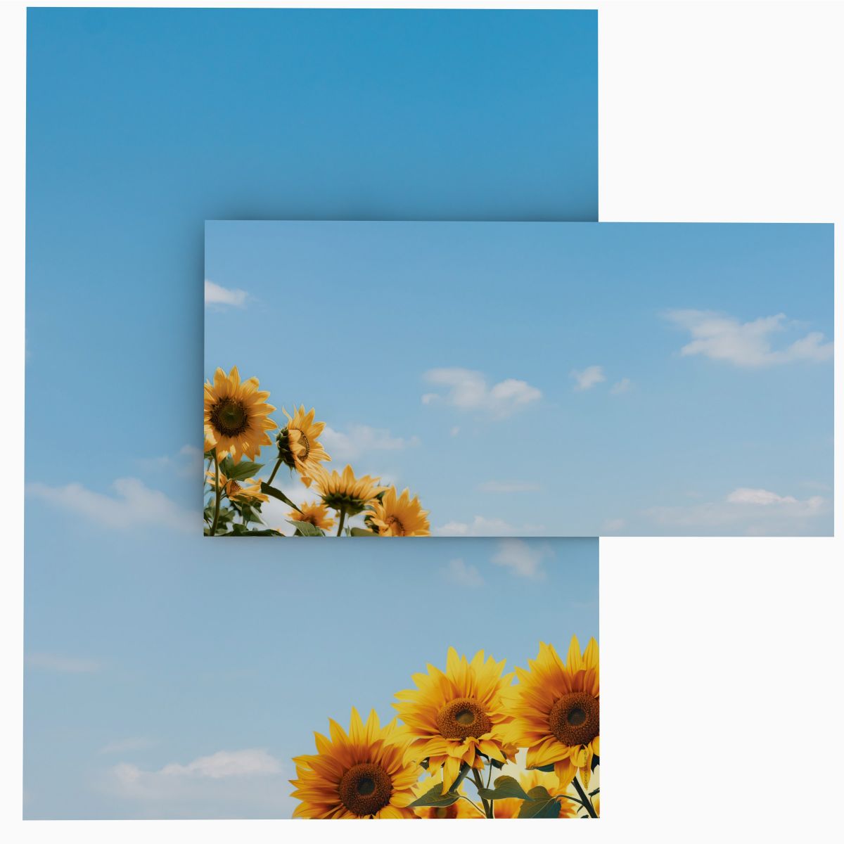 Motivpapier Sonnenblumen DIN A4 – Briefpapier mit Kuverts
