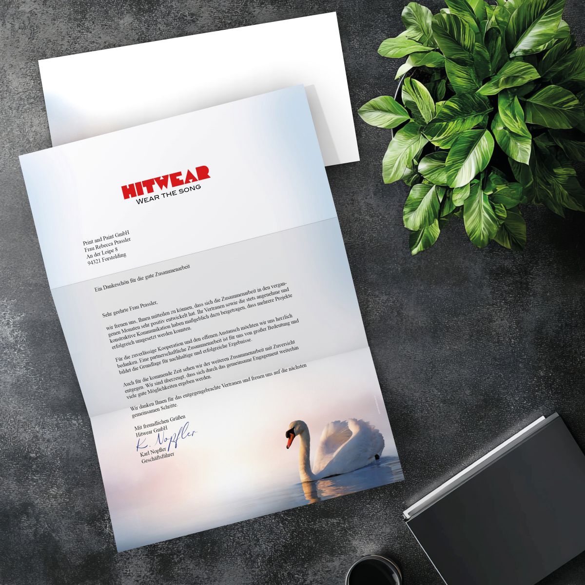Passender DIN-LANG-Briefumschlag zum Motiv Schwan