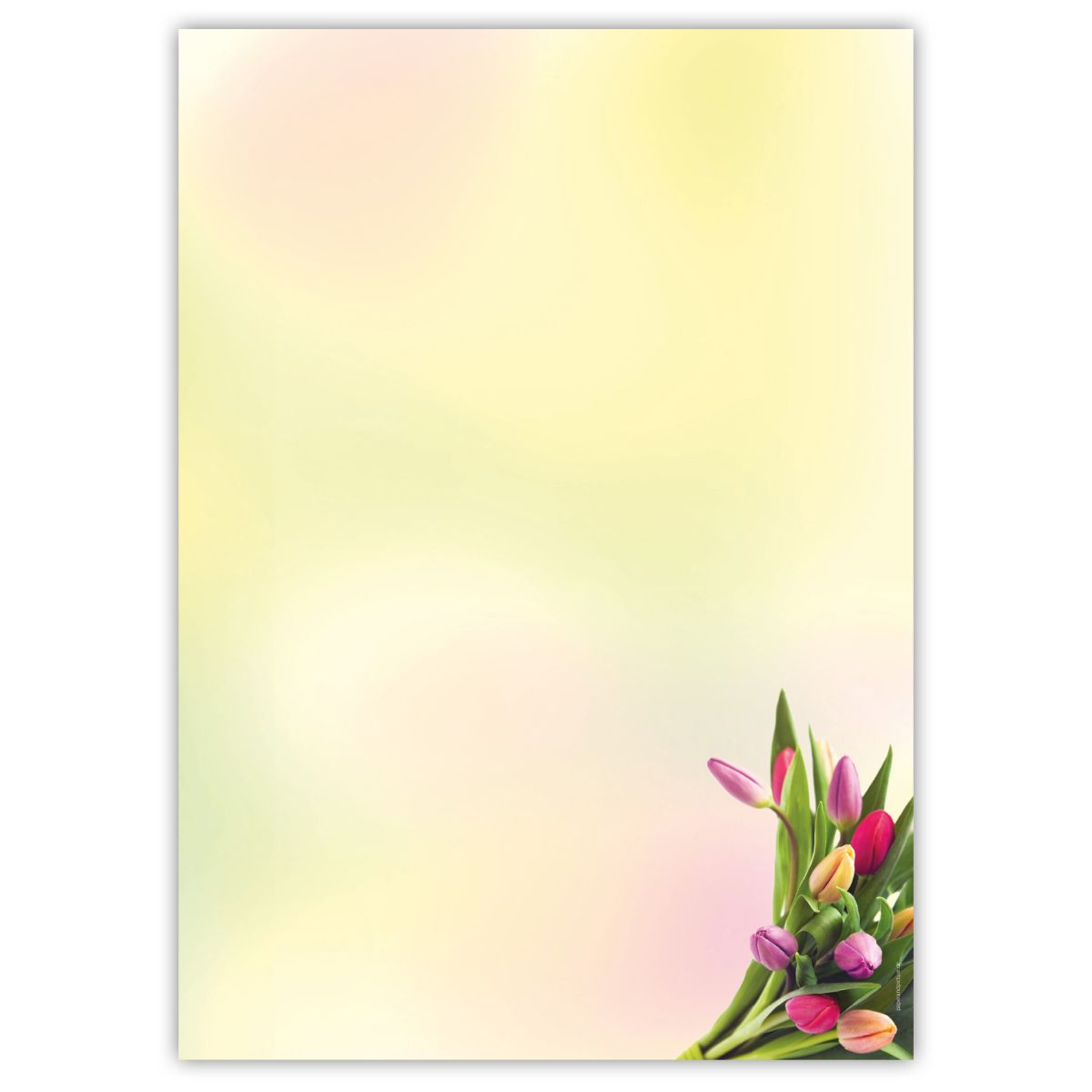 Motivpapier Tulpen im Sonnenlicht DIN A4 – Bunte Tulpen im rechten unteren Bereich leuchten vor sanften Frühlingsfarben und viel freier Schreibfläche