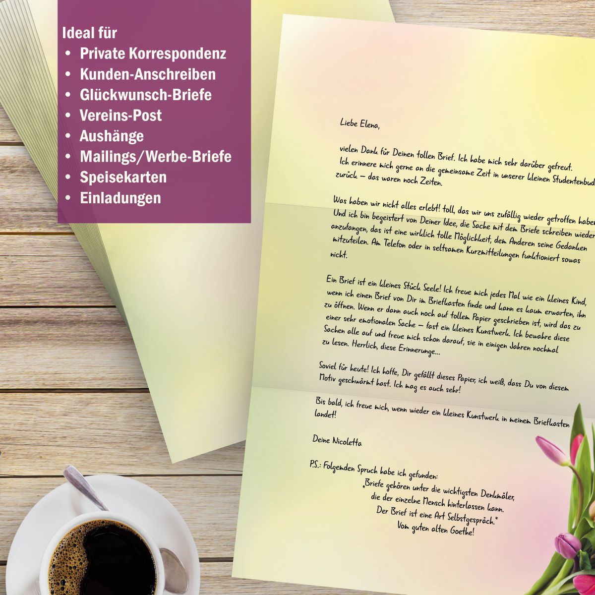 Motivpapier Tulpen im Sonnenlicht DIN A4 – Briefpapier mit Kuverts mit/ohne Fenster