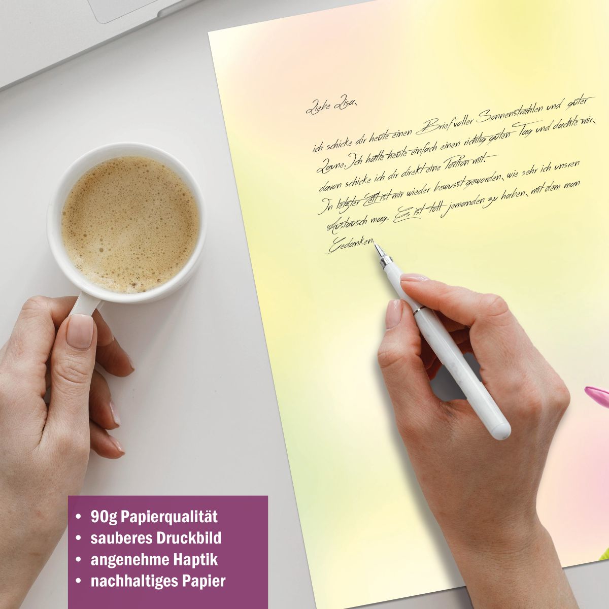 Briefpapier-Serie Tulpen im Sonnenlicht mit Papier, Kuverts und Etiketten