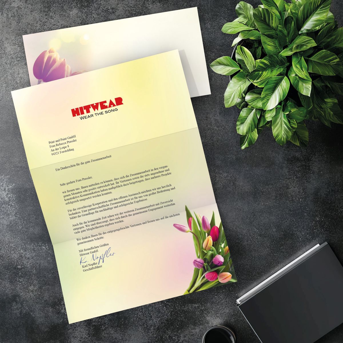 Passender DIN-LANG-Briefumschlag zum Motiv Tulpen im Sonnenlicht