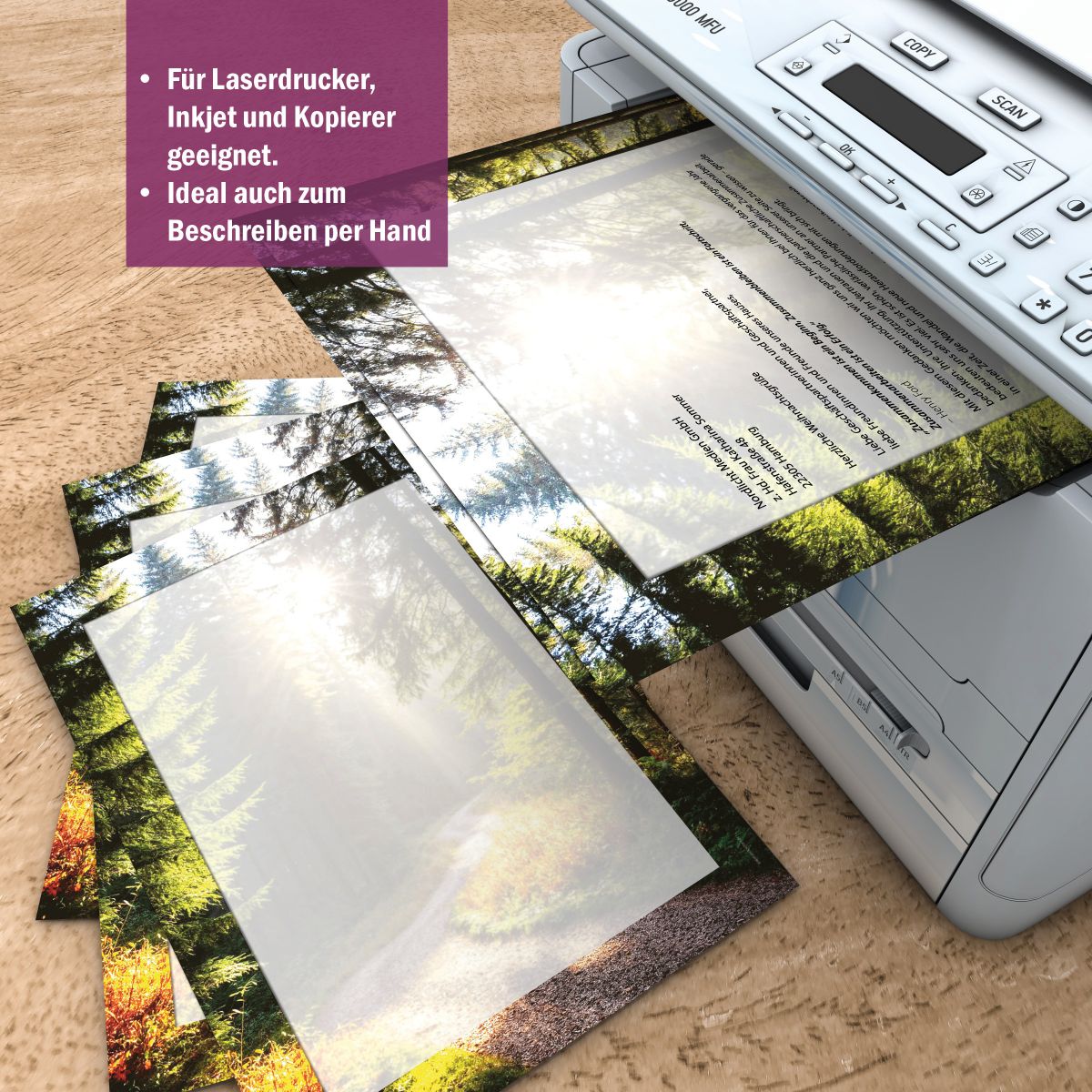 Motivpapier Sonniger Waldweg DIN A4 – Briefpapier mit Kuverts