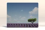 Designer-Mauspad Lavendel