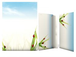 Stationery Ladybirds on Grass Writing paper