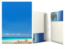 Stationery Shells on the Beach Writing paper