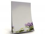 Notepad crocusses