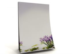 Notepad crocusses