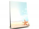Notepad Starfish