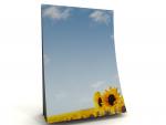 Notepad Sunflowers