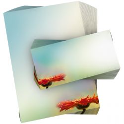 Motivpapier After the Rain DIN A4 – Sanfte Pastelltöne und ein kleiner Farbakzent am unteren Rand wirken ruhig, weich und modern